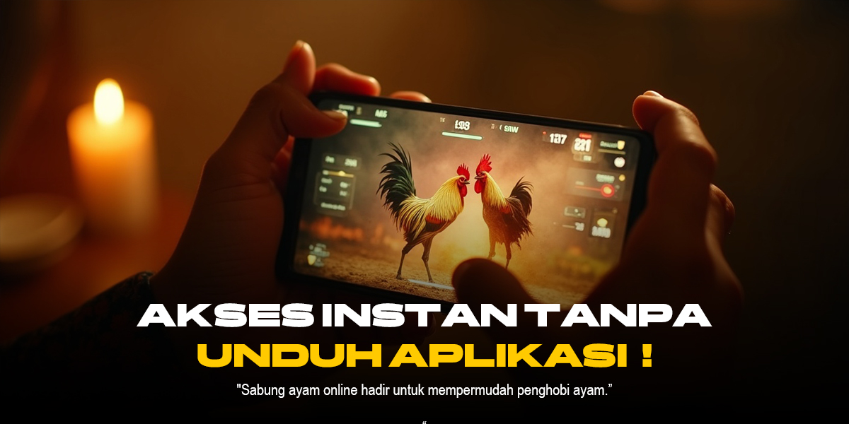 Mengenal Jenis Ayam Bangkok dan Odds di Sabung Ayam SV388